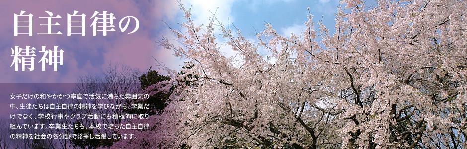 凤凰体育注册网址娱乐平台